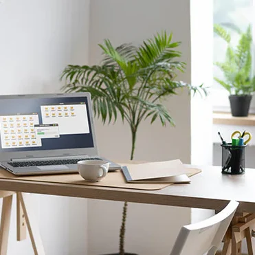 Schreibtisch mit Laptop, Kaffeetasse und Topfpflanze in einem hellen Raum.